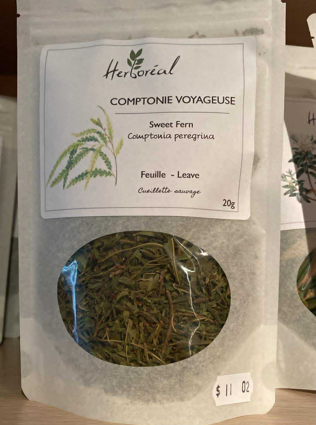 Comptonie voyageuse - Plantes médicinales