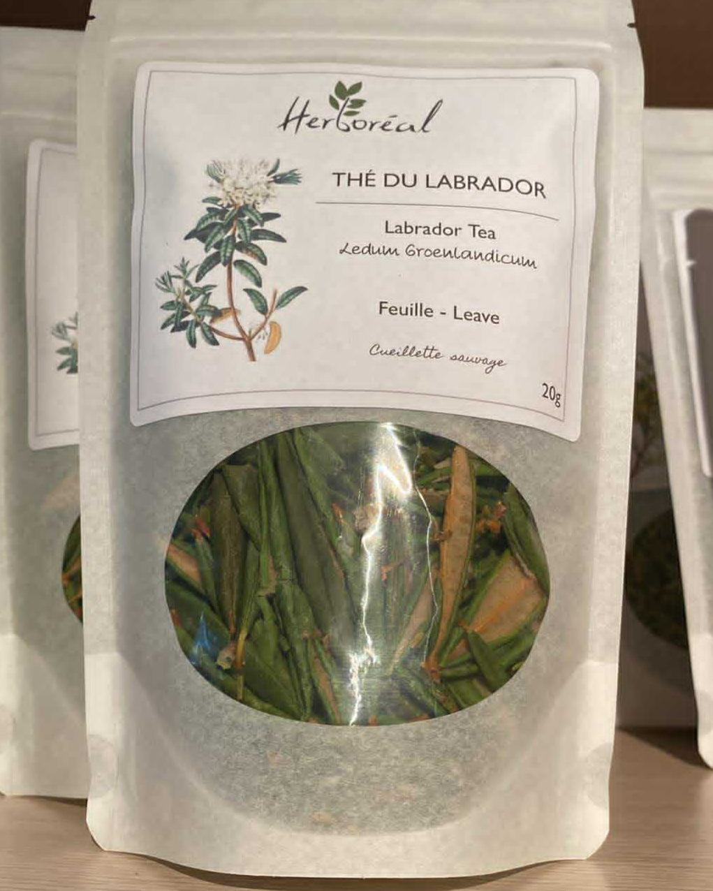 Thé du labrador - Plantes médicinales