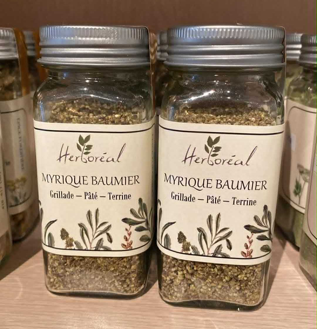 Myrique baumier - Épices boréales