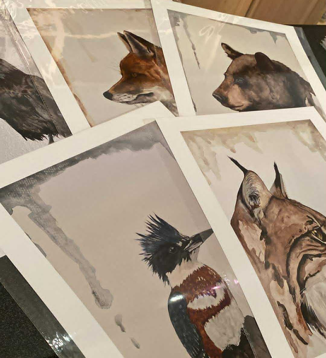 Affiches 11x14